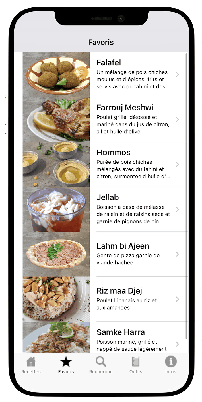 100 Recettes Libanaises - Application iOS