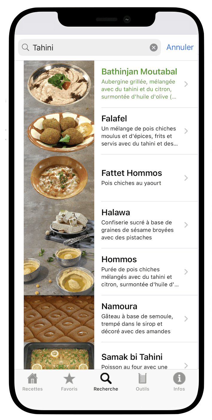 100 Recettes Libanaises - Application iOS