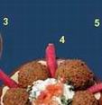 Falafel: A blend of ground chickpeas and spices, deep fried and served with tahini, tomatoes.